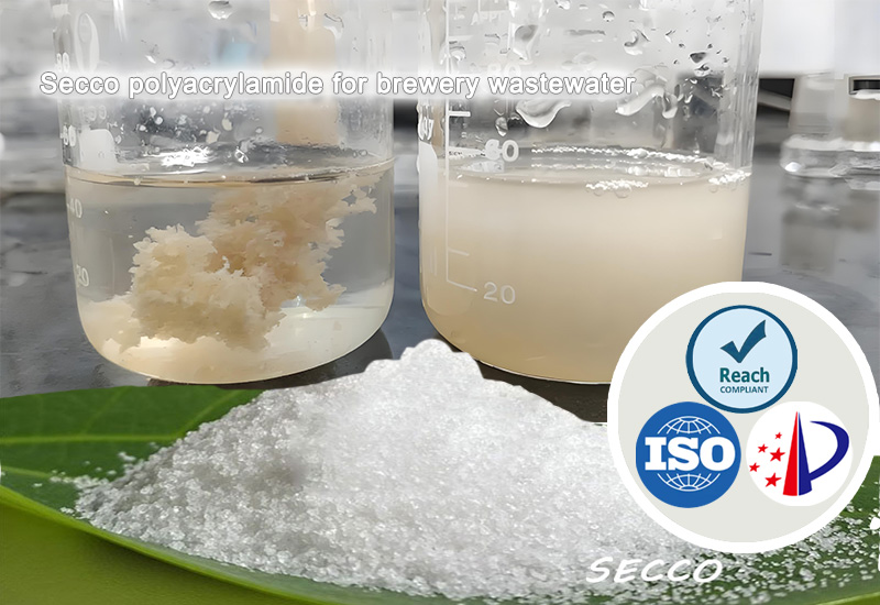 Selection and Effectiveness of Polyacrylamide (PAM) nan tretman Wastewater